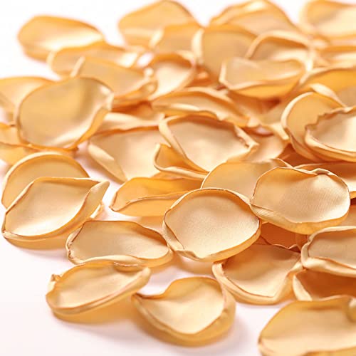 TINGE TIME 200pcs Silk Rose Petals Champagne Gold Flower Petals for Wedding, Flower Girl Basket, Aisle Runner, Romantic Dinner Centerpieces, Proposal, Party Confetti - color: Champagne