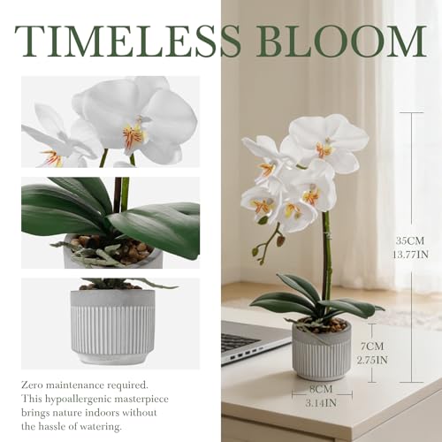 13.7" White Artificial Orchid Flowers in Ceramic Pot, Realistic Silk Phalaenopsis Arrangement with Stone, Waterproof Fake Orchid Plant for Bathroom, Home Office Table Top Centerpiece Decor(Orchid 1) - color: Orchid 1