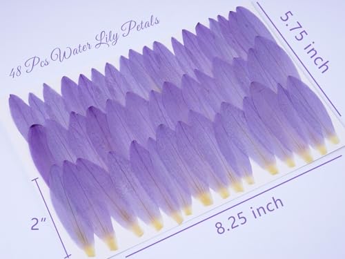 48 Pcs Mix Natural Dried Pressed Water Lily Petals for Cake Decorating, Cocktail Garnish, Resin Jewelry Making, DIY Art Crafts (Water Lily) - color: Water Lily