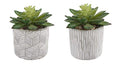 Flora Bunda Mid Century Artificial Plants Cactus Set of 2 Artificial Succulent in 3" Cement Pot Grey Planter, 2 Fake Potted Plants, for Home Office Decorations