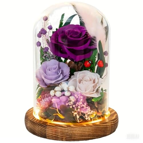 Forever Flower Gifts for Her:Perfect Graduation Flowers for Daughter Wife Mom-Preserved Flower with Symbolic Ladybugs–Flowers for Delivery Prime on Anniversary Valentines Birthday (Purple) - color: Purple2