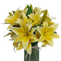 ATFL Artificial Lilies Flowers,9 Pcs Faux Lily Flowers,16''Tiger Lily Branches with 2 Full Blooms and 1 Bud,Faux Fake Lilies Plants for Wedding Bouquet Floral Arrangements (9, Yellow) - color: Yellow