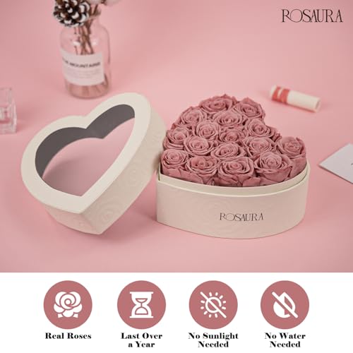 Rosaura Heart-Shaped Preserved Roses Gift Box - Real Forever Flowers for Christmas, Birthday, Valentine's & Mother's Day (Cappuccino, 16 roses) - color: Cappuccino, size: 16 roses