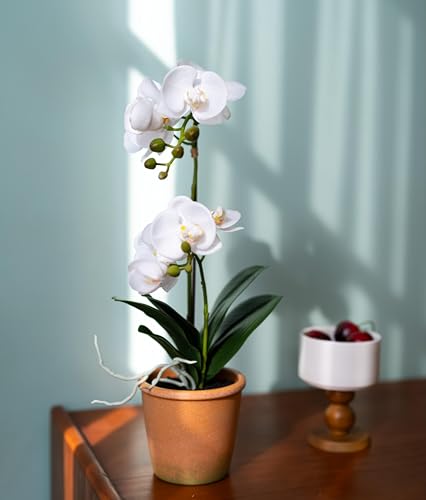 Avoeco Artificial Real Touch Orchid Plant – 15" Faux Phalaenopsis in Pot – Highly Realistic Silk Orchid Flower & Leaf Texture for Home, Office,Shop & Wedding Décor (1 White, 15“) - color: 1 White, size: 15“