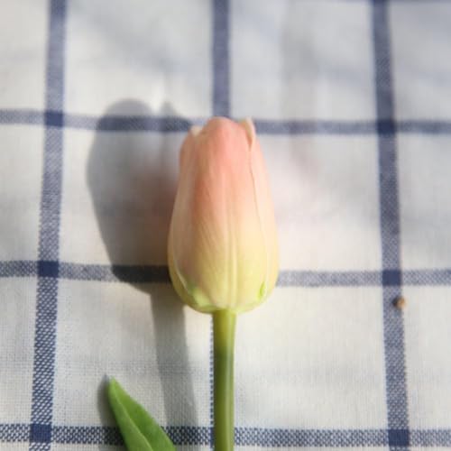 30 pcs Real-Touch Artificial Tulip Flowers Home Wedding Party Decor (Champagne) - color: Champagne