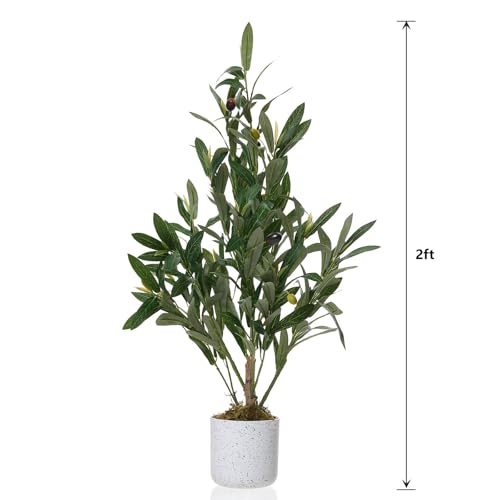 Potted Faux Olive Tree 2FT/23.6inch, Indoor Artificial Olive Plant Trees with White Pot adn Moss, Realistic Leaves and Fruits, Fake Floor Plants Olive Tree for Home House Office Décor