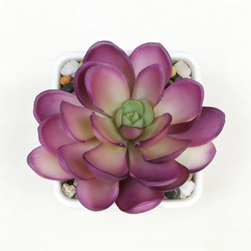 Artificial Succulent Plants in Pot - 1Pcs Pistachio Lotus Realistic Fake Potted Succulents for Home Decor, Desk, Office, Bathroom, Windowsill - Indoor Houseplant for Bedroom, Kitchen, Shelf - color: Pistachio Lotus