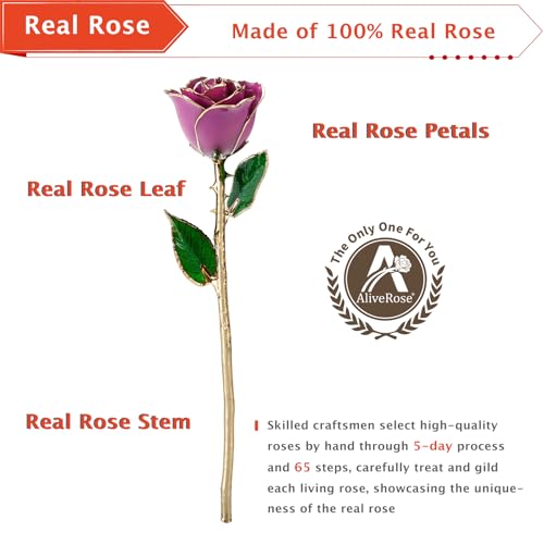 AliveRose Valentines Day Gift for Women Roses, Unique Design Gold Dipped Rose for Anniversary Valentines Mothers Day Birthday Gifts (Purple Handmade with Crystal Vase) - color: A4. Purple Handmade Rose White Crystal Vase