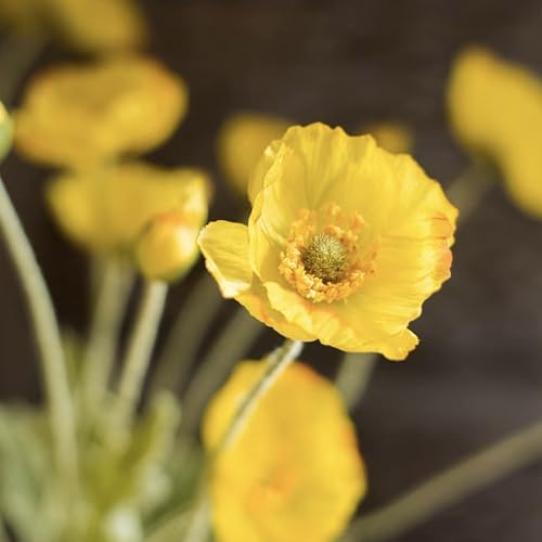 Lifelike Artificial Poppy Flowers, 8 Stems Silk Bouquet with Flocked Stems & Leaves – for Wedding Centerpieces, Home Decor, Table Arrangements - color: 8pcs Yellow