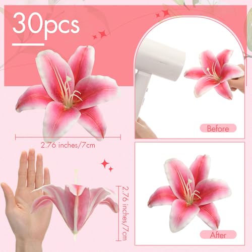 Suncalla 30 Pack Large Artificial Lilies Flower Heads with Realistic Stamens 5.9" Faux Fake Lily Flower Heads Bulk for DIY Crafts Cake Wedding Bridal Wreaths Table Home Party Decor(Dark Pink) - color: Dark Pink