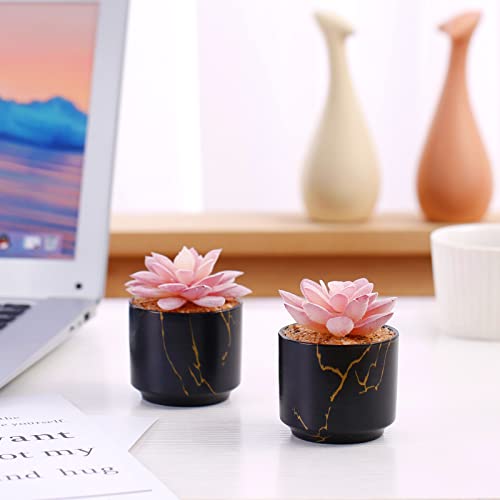 ZENIDA Succulent Artificial Plants,Cute Fake Succulents in 2 Black Ceramic Pots,Small Fake Plants for Office,Table,Desk,Bathroom, Bedroom,Aesthetic Room Shelves Decor,Desk Decorations for Women Office - color: Black