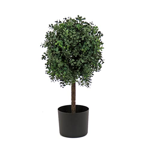 National Tree Company 2 ft Artificial Boxwood Single Ball Topiary, Realistic Fake Tree Potted Plant, Black Nursery Pot