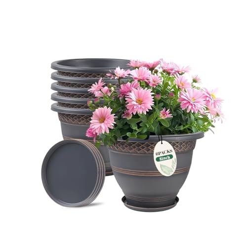 Usocik 8 Inch Plaid Plant Pots 6 Pack with Drainage and Saucers Copper | Copper plaid PP pots with drainage holes and saucers for herbs succulents starter plants shelves windowsills - color: Copper, size: 8 Inches-6 packs