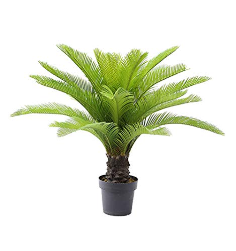 AMERIQUE Gorgeous 3 Feet Cycas Revoluta Sago Palm Tree Artificial Plant with Nursery Pot, Feel Real Technology