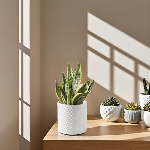 Docrin Ceramic Planters Indoor, 8 Inch Plant Pot with Drainage Holes for Home/Office - White Honeycomb - color: White - 1pcs
