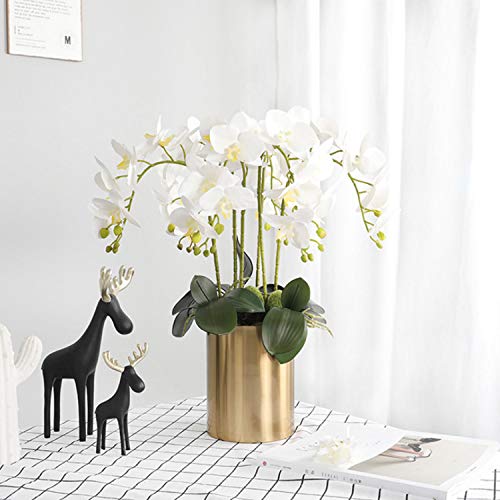 FagusHome 32 Inches Artificial Phalaenopsis Flowers 4 Pcs with 2 Bundles Leaves Artificial Orchid Flowers Stem Plants for Home Décor (White) - color: White