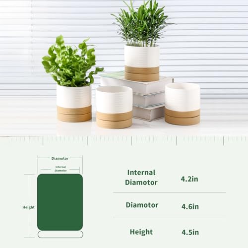 HASENSE Ceramic Plant Pots with Saucers Set of 4, 4.6 Inch Planters for Indoor Plants with Drainage Holes,Two-Tone White Flower Pots for Succulents, Snake Plants & Cactus, Farmhouse Desktop Decor - color: White