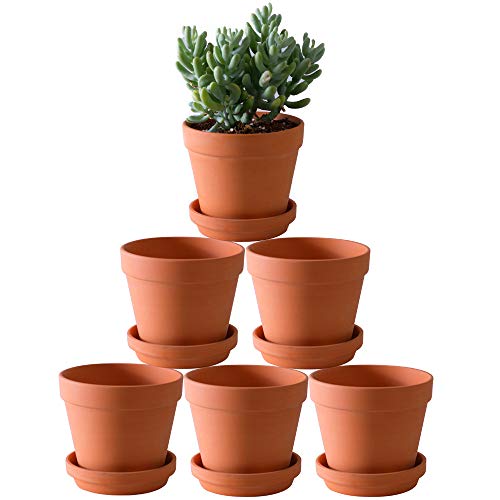 Terra Cotta Pots with Saucer- 6-Pack Large Clay Pots 5.5'' Ceramic Pottery Planter Cactus Flower Succulent Pot with Drainage Hole- Great for Plants,Crafts terra cotta planter - color: Terracotta