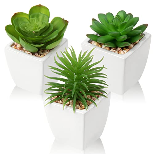 Hollyone Succulents Plants Artificial 3Pcs Small Fake Succulents in Pots Faux Plastic Potted Plants with White Ceramic Pot for Home Decor Classroom Office Bathroom Shelf Indoor & Outdoor Decorations - color: 3pack - White Ceramic 1
