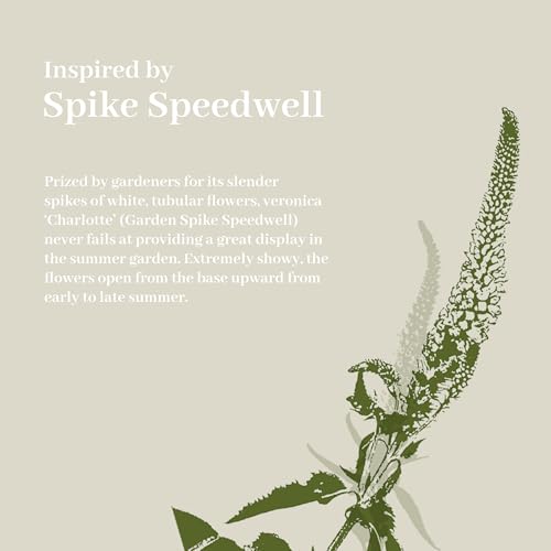 KOL 4ft 2-Pack Artificial Veronica Spiked Speedwell Grass, 47in Faux Veronica Spicata Flower, Tall Fake Reed Grasses for Home Office Garden Wedding Decor, Indoor Outdoor Plants, UV-Resistant - color: White-green, size: 4FT