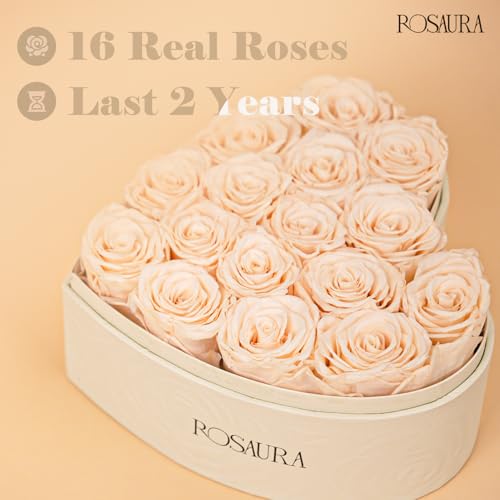 Rosaura Heart-Shaped Preserved Roses Gift Box - Real Forever Flowers for Christmas, Birthday, Valentine's & Mother's Day (Champagne, 16 roses) - color: Champagne, size: 16 roses