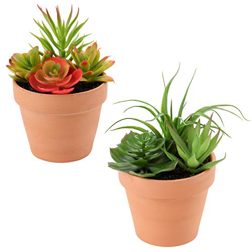 Briful Small Succulents Artificial 2 Pcs Fake Succulent Plants Faux Succulents in Pots Assorted Succulent Arrangements for Home Office Bathroom Room Shelf Rustic Farmhouse Windowsill Decor - color: Style #06