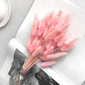 60PCS Rabbit Tail Grass Dried Flowers Dried Natural Floral Arrangement Bunch Decoration Dried Grass,Eternal Flower Dried Grass for Home,Wedding,Party,Flower Bouquet,Photo Props Decor (Pink)