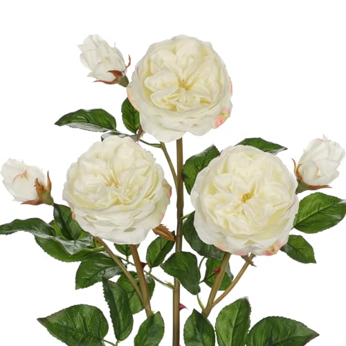 Real Touch Artificial Roses (Set of 3) – 23.6" Long Stem White Garden Roses – Lifelike Faux Silk Flowers for Wedding Bouquets, Home Décor, Centerpieces & Floral Arrangements - color: Creamy White, size: 3 PCS