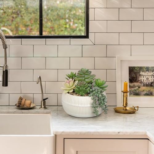 DILATATA Artificial Succulent Plants in Pot 5.5 Inch Fake Succulents Arrangement Potted Plant in White Ceramic Planter Bowl for Home Office Desk Shelf Living Room Bedroom Bathroom Decor - color: White Ceramic#style 4