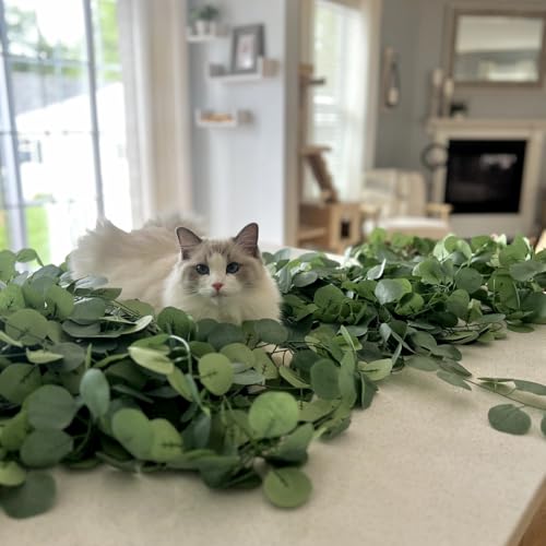 CQURE 18Pack 126Ft Eucalyptus Garland,Artificial Eucalyptus Leaves Table Greenery Garland Wreath Vines for Wedding Party Table Fireplace Bedroom Wall Room Decor - size: 126Ft-18Pack-Green