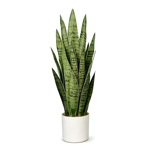 Fake Snake Plant, 27in Artificial Plant with White Pot Realistic Leaves, Low Maintenance Potted Plant for Indoor Decor, No Watering Needed, Perfect for Home, Office & Pet Areas - color: Sansevieria Green 27in