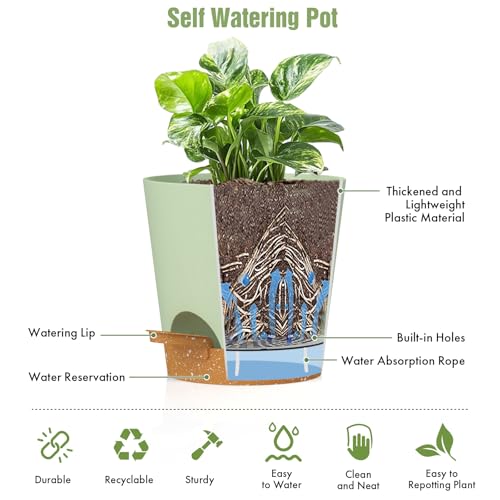 WSMKSZ 4 inch Self Watering Pots for Indoor Outdoor Plants, 6 Pack Plastic Flower Planters with Drainage Holes and Removable Saucers, Plant Pots with Wicking Rope, Modern Decor, Green Brown - color: Green Brown, size: 4inch 6pcs