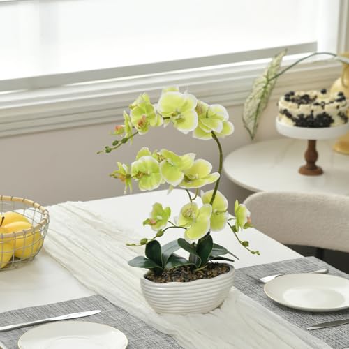 19" H Phalaenopsis Faux Orchid Plant Silk Orchid Centerpiece Artificial Floral Arrangement in Ceramic Pot (Apple Green) - color: Apple Green