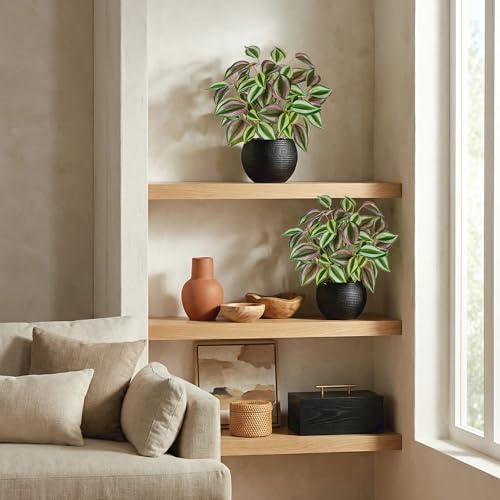 2 Packs Artificial Plants in Black Pot, 12" Faux Plant | Realistic Tradescantia Zebrina Fake Plants Potted Decorative for Home Kitchen Office Desk Bookshelf Decor - color: Purple-green