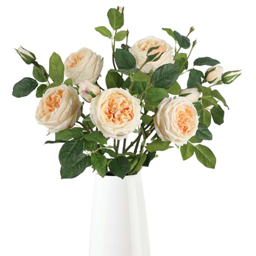 Real Touch Austin Roses Peonies Artificial Flowers 4 Bouquets Latex Fake Peonies with Long Stem Realistic Faux Peonies Flower for Wedding Party Home Table Centerpieces Decorations (Champagne) - color: Champagne