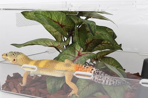 Reptile Plants for Terrarium, Ball Python Tank Decor Accessories fit Bearded Dragon Crested Leopard Gecko Lizard Chameleon Snake Frog Tortoise Hermit Crab - Fake Arrowhead Plants - color: H-fake Arrowhead Plants