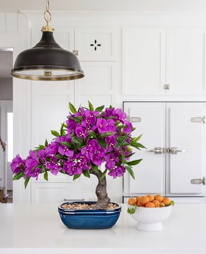 Briful Artificial Bougainvillea Bonsai Tree 18.5" Silk Bougainvillea Plant with Blue Pot Fake Bougainvillea Floral Tree for Home Office Room Desk Shelf Zen Décor(Purple) - color: Purple Blue