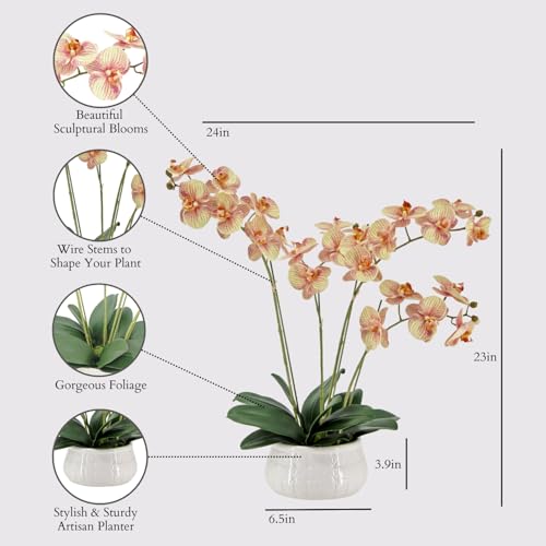 CG Hunter Faux Orange Orchid Plant, Premium Artificial Indoor Flower Display Stands 23”, Beautiful Sculptural Blooms That Lasts Forever, White Planter Pot Included - size: 23" Orange 4-Stem Orchid