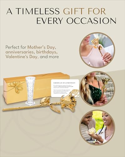 Forever Rose 24K Gold Dipped Real Rose – Handmade, Long-Lasting Preserved Flower in Glass Vase & Gold Box, Romantic Gift for Anniversary, Valentine's, Mother's Day, Birthday, Wedding, Wife, Girlfriend - color: Vase Combo