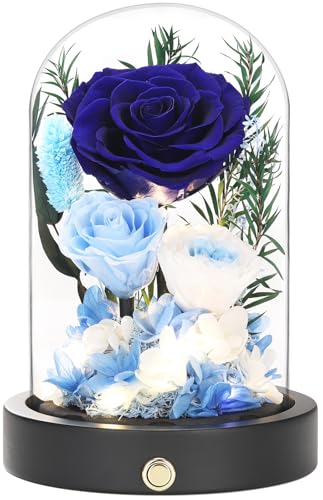 Eternal Roses, Preserved Flowers in Glass Dome, Blue Forever Flowers for Delivery, Valentines Day Mothers Day Anniversary Birthday Gifts for Grandma Women Her Mom Girlfriend Wife - color: New Blue