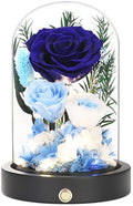 Eternal Roses, Preserved Flowers in Glass Dome, Blue Forever Flowers for Delivery, Valentines Day Mothers Day Anniversary Birthday Gifts for Grandma Women Her Mom Girlfriend Wife - color: New Blue