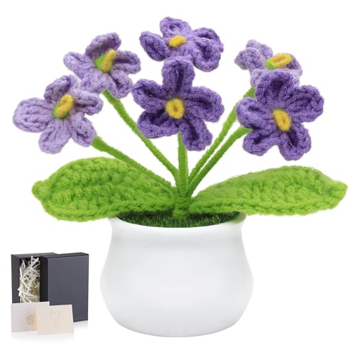 LAIDANLA Purple Crochet Forget Me Not Gifts, Mini Handmade Potted Flower | Birthday Graduation Anniversary Thinking of You Gifts for Women Teacher Mom Friend, Crochet Flowers Potted Plant for Desk - color: Ombre Purple