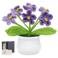 LAIDANLA Purple Crochet Forget Me Not Gifts, Mini Handmade Potted Flower | Birthday Graduation Anniversary Thinking of You Gifts for Women Teacher Mom Friend, Crochet Flowers Potted Plant for Desk - color: Ombre Purple