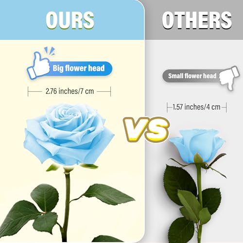 20PCS Artificial Roses with Long Stems - Realistic Silk Flowers, Fake Roses Real Touch Bouquet of Roses for Home Decor, Bridal Wedding Party Table Centerpieces, Bulk Faux Rose Flowers ( Sky Blue ) - color: Sky Blue, size: 20 PCS