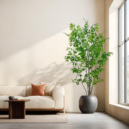 7ft Artificial Ficus Tree with White Plastic Planter | Collapsible trunk structure enables quick assembly and compact space-saving storage - color: Green, size: 7ft