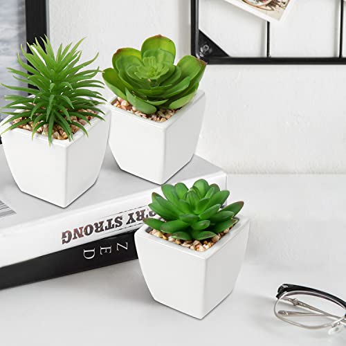 Hollyone Succulents Plants Artificial 3Pcs Small Fake Succulents in Pots Faux Plastic Potted Plants with White Ceramic Pot for Home Decor Classroom Office Bathroom Shelf Indoor & Outdoor Decorations - color: 3pack - White Ceramic 1