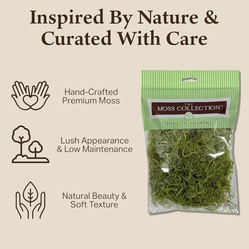 Preserved Spanish Moss - Decorative Dried Moss for Crafts, Home Decor, Art, Design & DIY Projects - for Indoor Use - Chartreuse - Medium Size - color: Chartreuse, size: Medium