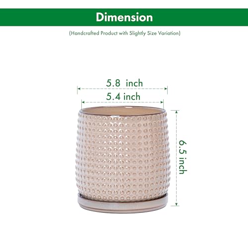 D'vine Dev 6 Inch Ceramic Beaded Stoneware Planter Pot - Flower Pot with Drainage Holes and Saucers for Indoor Succulent Plants or Flowers, Light Brown, 27-C-X-4 - color: Light Brown, size: 5.8 Inch