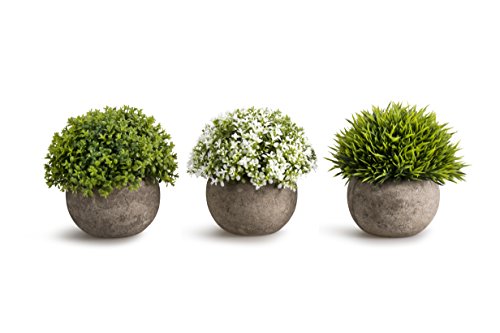 Opps Artificial Plastic Mini Plants Unique Fake Fresh Green Grass Flower in Gray Pot for Home Décor – Set of 3 - color: White & Green