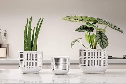 Docrin 3-Pack Ceramic Plant pots Set - 6.5"+5.3"+4" Dual-Tone Flower Pots with Drainage Holes, Modern Indoor Outdoor Planters for Succulents/Herbs/Large Plants, Home Office (Brownish Black & White) - color: A-brownish Black White